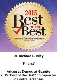 Arkansas Democrat Gazette 2015 Best of the Best